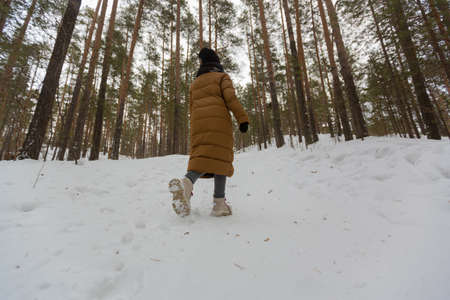 A girl in a winter long jacket and trekking shoes walks through the winter forest among the tall pines. Winter landscape. High quality photoの写真素材