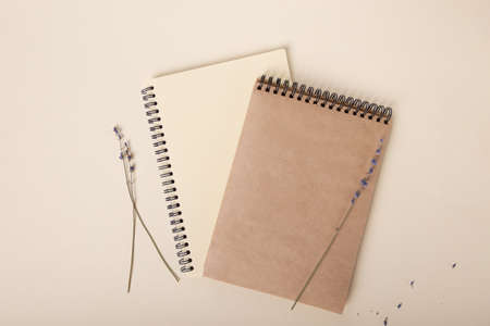 two beautiful notebooks of beige color are beautifully laid out on a light background, next to...