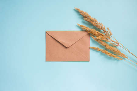 blank form of beige envelope lies on a bright blue background near wheatgrass. High quality photoの写真素材