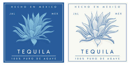 Tequila label template modern simple cleanのイラスト素材