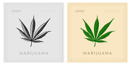 Feral Marijuana leaf silhouette in green color, black and white illustration for labelのイラスト素材