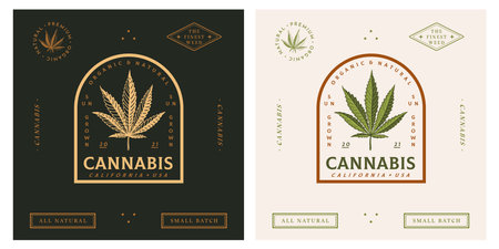 Cannabis trendy logotype template vintage retro styleのイラスト素材