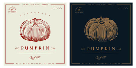 Pumpkin vintage retro engraved style illustrationのイラスト素材