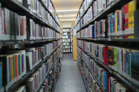 Interior of a library with books on both sides