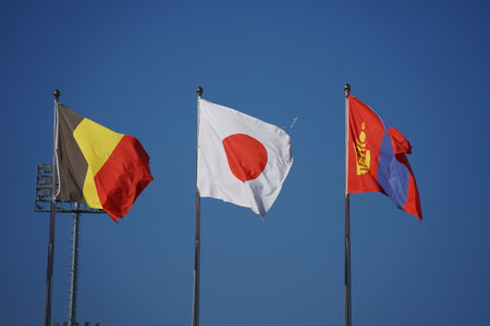 Japanese flag and world flags with the stadium in the background