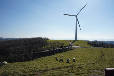 Wind Turbines on a hillside with blue sky in the background