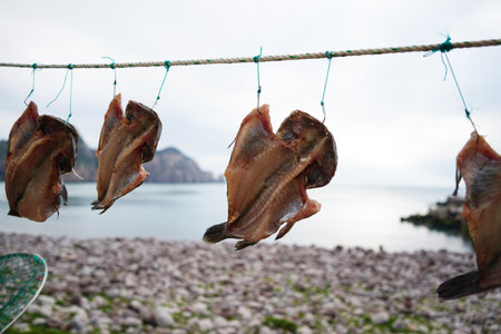 Dried Fish Hanging on Rope by the Sea in Korean Coastal Village
