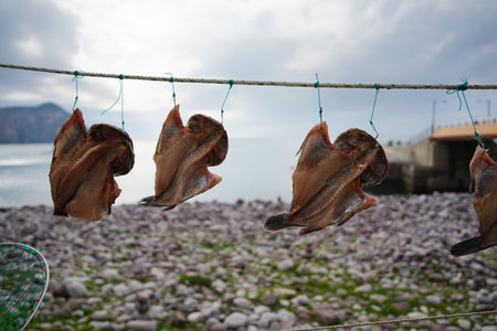 Dried Fish Hanging on Rope by the Sea in Korean Coastal Village