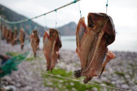Dried Fish Hanging on Rope by the Sea in Korean Coastal Villageの写真素材