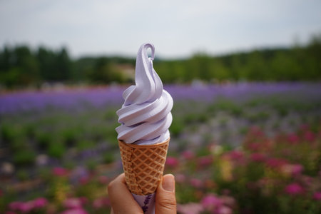 Hand Holding Ice Cream Cone with Lavender Flowers in Summerの写真素材