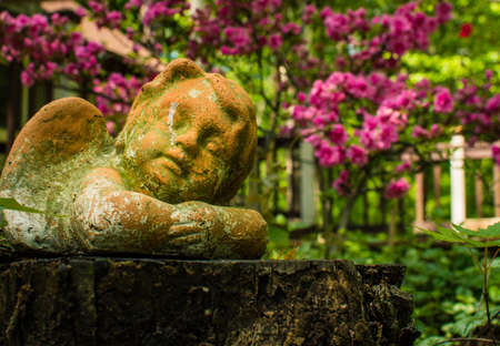 A weathered cherub garden ornament lies upon a wooden stump surrounded by green foliage and pink flowersの写真素材