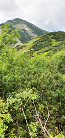 Natural landscape in the foothills of the High Tatras in the north of Slovakia in early summer with wide valleys and green meadows.の写真素材