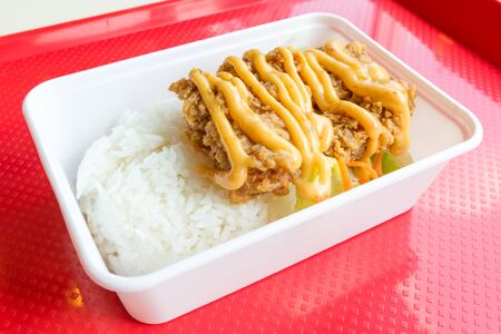 Rice and chicken with lemon sauceの写真素材