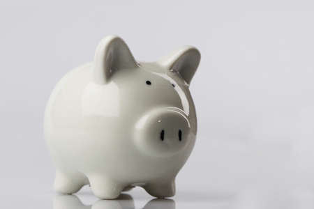 Pig piggy bank isolated on white backgroundの写真素材