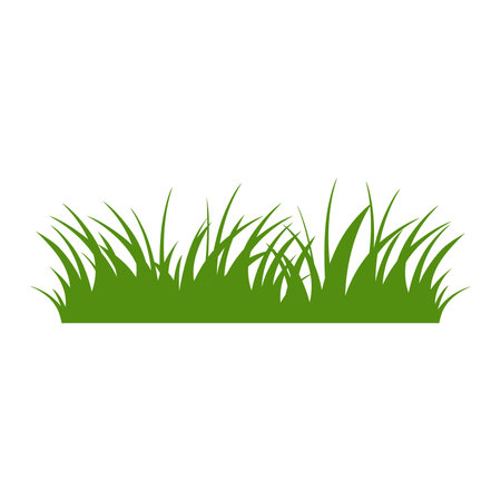 Green Grass Isolated on White Background,flowersのイラスト素材
