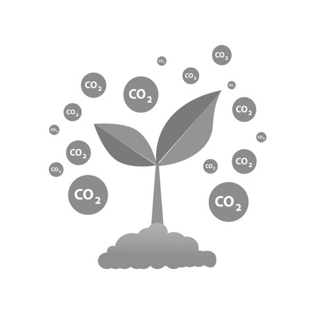 The tree that grows from seed is a big tree with green color and the seedlings grow into a big tree. Carbon dioxide illustrationsのイラスト素材