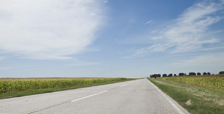 landscape. The road, field, harvest corn on a sunny dayの写真素材