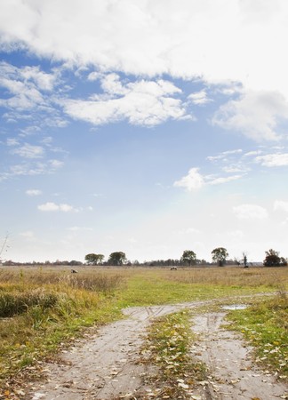 Beautiful autumn landscape with a dirt road on a clear dayの写真素材