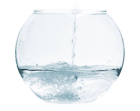 pouring water into the aquarium for the fish on a white backgroundの写真素材