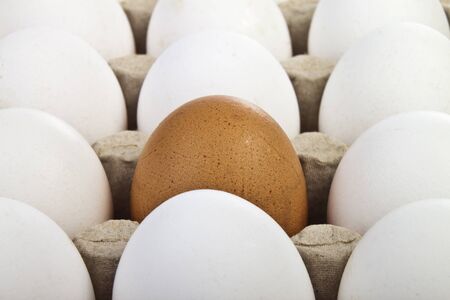 white eggs in a box for your designの写真素材