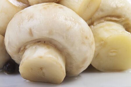Beautiful homemade marinated mushrooms for your designの写真素材