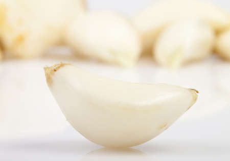 White garlic on a white background for your design
