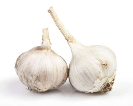 White garlic on a white background for your designの写真素材