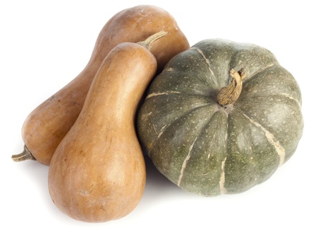 beautiful ripe pumpkin on a white background for your designの写真素材