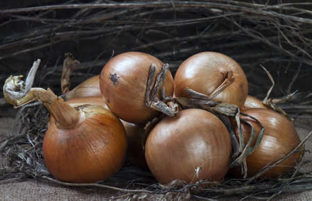 Still life with vegetables for your designの写真素材