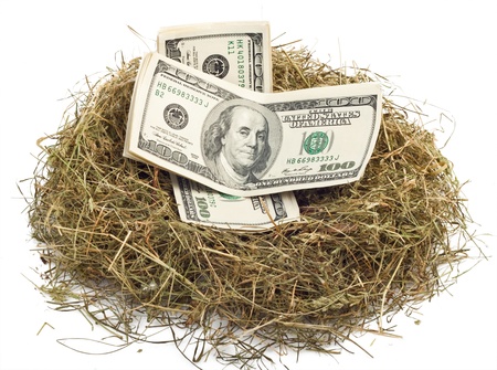 hundred US dollar bill laying in bird nest with soft shadowの写真素材