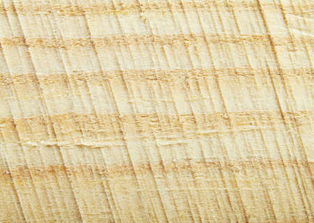 Grunge Wood texture Background for you designの写真素材