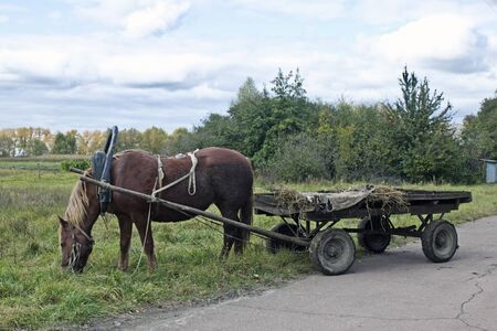 Drawn by a horse in the countrysideの写真素材