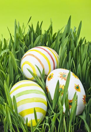 Easter eggs in Fresh Green Grass の写真素材
