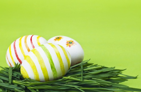 Easter eggs in Fresh Green Grass 