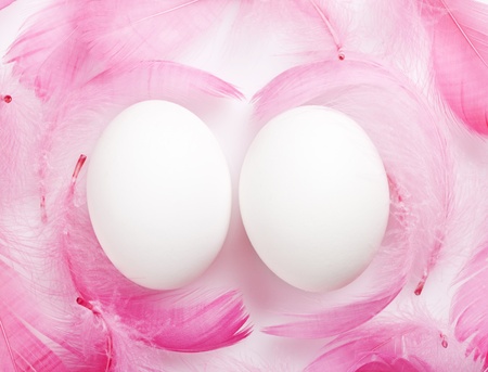 White eggs with pink feathers on a white backgroundの写真素材