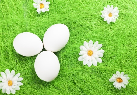 three eggs with artificial grass and daisiesの写真素材