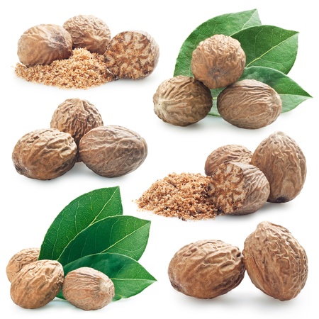 collection of photos of nutmeg on a white backgroundの写真素材
