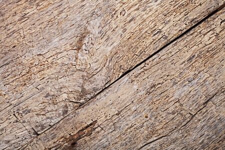 Old wood texture, vintage natural background