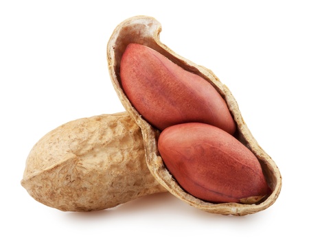 peanuts with shells on white background. Clipping Path