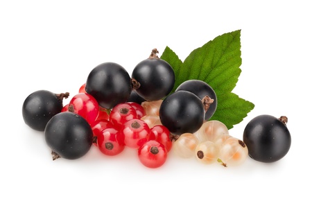 currant on a white background. Clipping Pathの写真素材