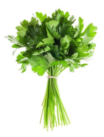 Bunch of fresh parsley isolated over white background の写真素材