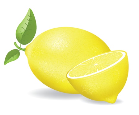 Vector illustration of fresh lemons with leaves. Image contains gradient meshのイラスト素材