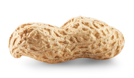 Peanut isolated on white background closeup. Clipping Pathの写真素材
