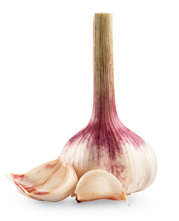 Garlic bulb isolated on white background. Clipping Pathの写真素材