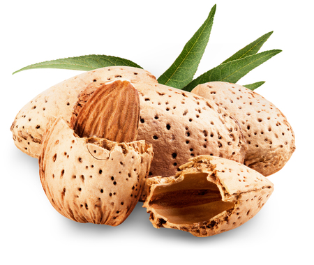 Almond with leaves isolated on a white backgroundの写真素材
