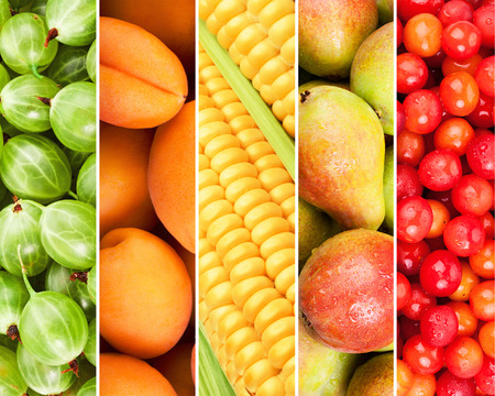 Collection of fresh summer fruits in the form of vertical stripesの写真素材