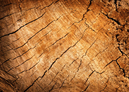 Texture cracked wood board for your designの写真素材