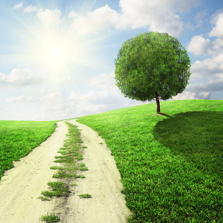Road in field with tree and bright blue skyの写真素材