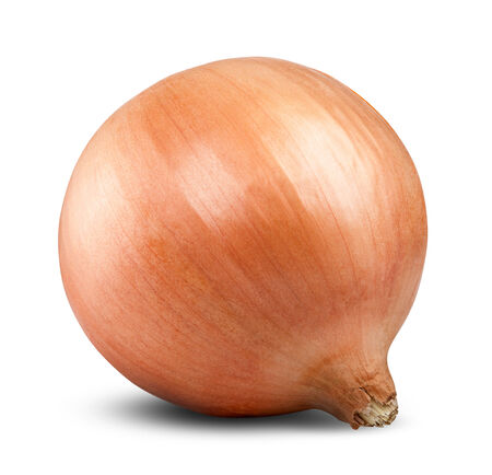Ripe onion on a white background. Clipping Pathの写真素材