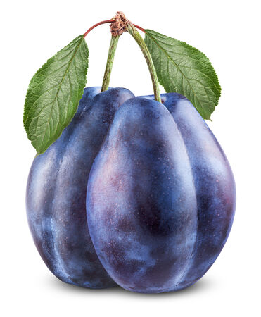 Two plums with a leaf on a white backgroundの写真素材
